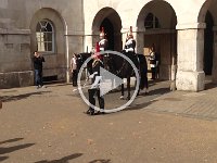 IMG 1291  Horse Guards